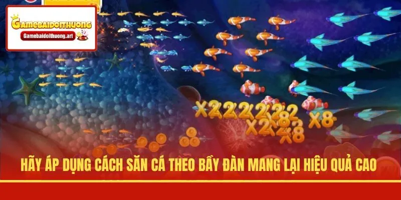 Hãy áp dụng cách săn cá theo bầy đàn mang lại hiệu quả cao