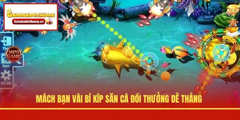 Mách bạn vài bí kíp săn cá đổi thưởng dễ thắng