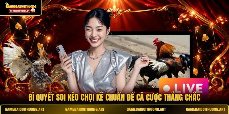 Bí quyết soi kèo chọi kê chuẩn để cá cược thắng chắc