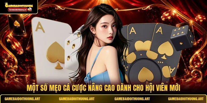 Một số mẹo cá cược nâng cao dành cho hội viên mới